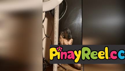 Tikim Sa Pantasya Na Matagal Nang Inaasam